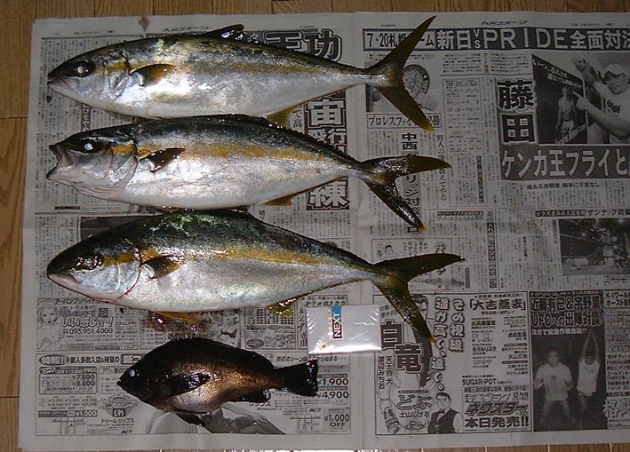 hiramasa. 2001.07.03-web2.jpg